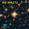 HD 305173