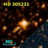 HD 305231