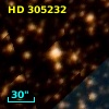HD 305232