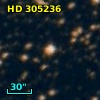 HD 305236