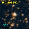 HD 305242