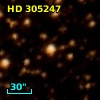 HD 305247
