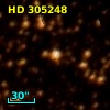 HD 305248