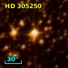 HD 305250