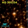 HD 305254