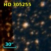 HD 305255