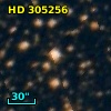 HD 305256