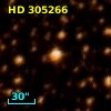 HD 305266