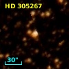 HD 305267