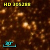 HD 305288