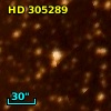 HD 305289