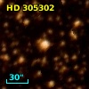 HD 305302