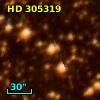 HD 305319