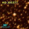 HD 305377