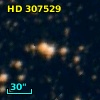 HD 307529