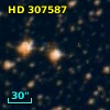 HD 307587