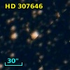 HD 307646