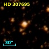 HD 307695