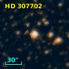 HD 307702