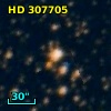 HD 307705