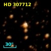 HD 307712