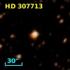HD 307713