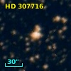 HD 307716
