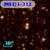 [M81] I-313