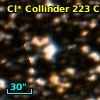 Cl* Collinder  223     CL       3