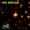 HD 305214