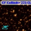 Cl* Collinder  223     CL       8