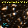 Cl* Collinder  223     CL      22