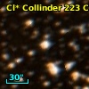 Cl* Collinder  223     CL      24