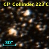 Cl* Collinder  223     CL      25