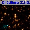 Cl* Collinder  223     CL      27