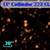 Cl* Collinder  223     CL      28