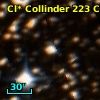 Cl* Collinder  223     CL      30