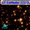 Cl* Collinder  223     CL      32