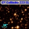 Cl* Collinder  223     CL      33
