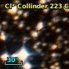 Cl* Collinder  223     CL      36