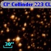 Cl* Collinder  223     CL      37