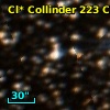 Cl* Collinder  223     CL      39
