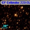 Cl* Collinder  223     CL      40