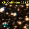 Cl* Collinder  223     CL      43