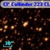 Cl* Collinder  223     CL      44