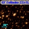 Cl* Collinder  223     CL      45