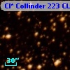 Cl* Collinder  223     CL      46