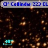 Cl* Collinder  223     CL      48