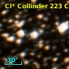 Cl* Collinder  223     CL      49