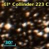 Cl* Collinder  223     CL      51